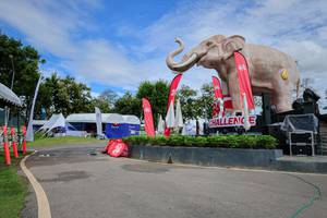 BIB: 
                            <button type="button" onclick="openModal(26528030)" class="btn btn-primary btn-sm float-right btn-popup" data-toggle="modal" data-target=".modal-high-quality">
                        <i class="fas fa-shopping-cart"></i> Add to Cart
                    </button>
                                            <button type="button" onclick="isThisMe(26528030, true)" class="btn btn-success btn-sm float-right btn-popup btn-isme hidden" data-toggle="tooltip" data-placement="bottom" title="นี่คือรูปของคุณใช่ไหม คลิกที่นี่เพื่อเอาเข้าอัลบั้ม">
                        <i class="fas fa-plus"></i> Add to album
                    </button>
                    <button type="button" onclick="isThisMe(26528030, false)" class="btn btn-warning btn-sm float-right btn-popup btn-isnotme hidden">
                        <i class="fas fa-ban"></i> Remove from album
                    </button>